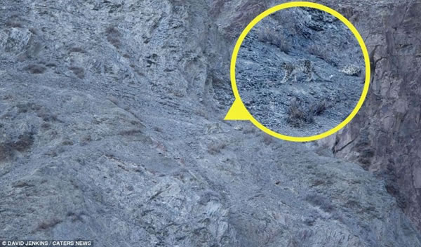 ���³�����桶ÿ���ʱ������ǵ�������Ƭ��ʾ����һֻѩ����ϲ������ɽ´��Ǳ��׷�����