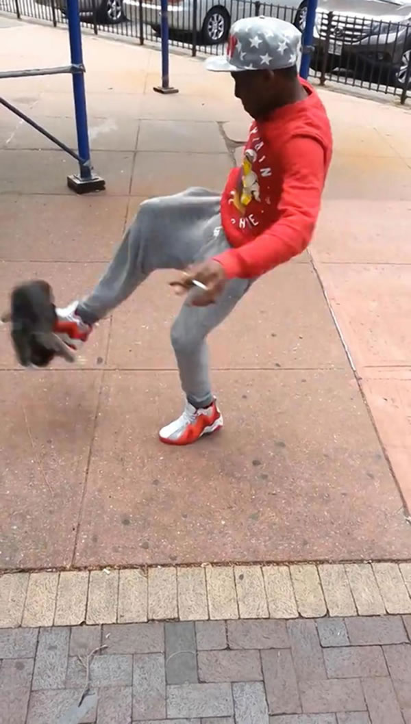 美国布鲁克林男子安德烈·罗宾逊伸脚踢小猫