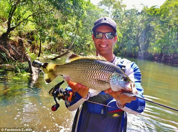 澳大利亚:钓起的鱼嘴中发现一只绿色树蛙