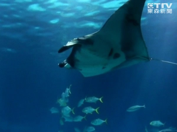 ���˹������̨�庣���ݺ󱩱�