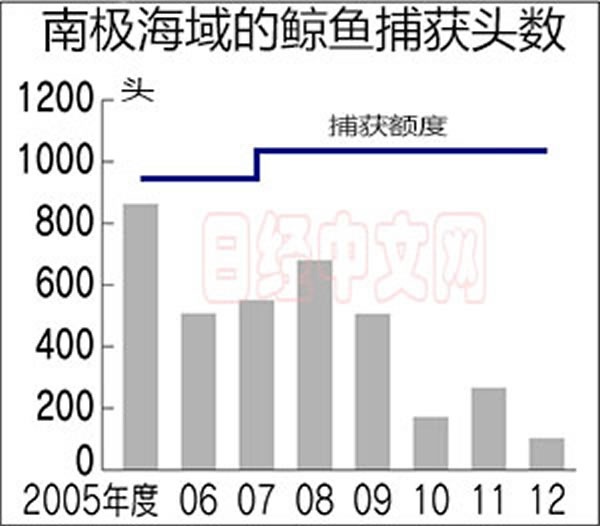 日媒:日本捕鲸战略很模糊