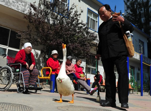 ��׶조�������Ͻ�ɢ������������;�˹ۿ���