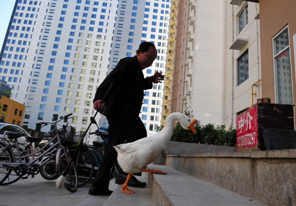 ��׶조����������̨��