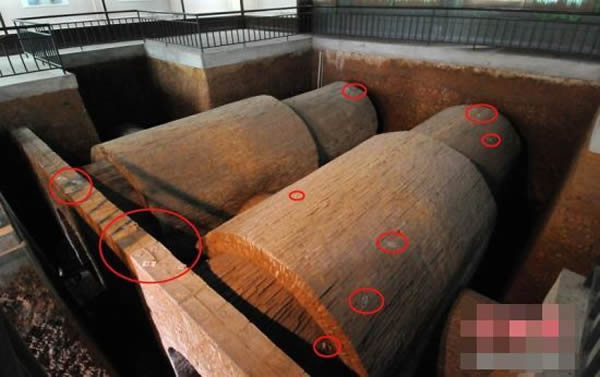 ��Ĺ���������ο�Ͷ���ĳ�Ʊ��Ӳ�ң���Ȧʾ����