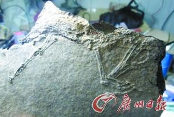 �㶫��ˮ��ط���6000����ǰ�������������໯ʯ