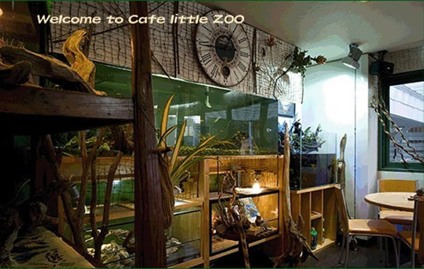 日本出现许多可以与动物实现“亲密接触”的咖啡店