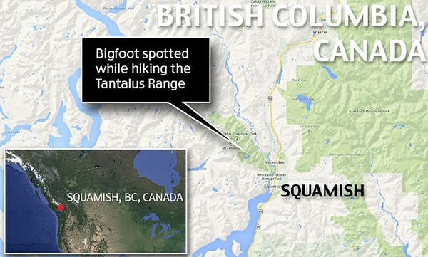 加拿大徒步旅行者在不列颠哥伦比亚省山区拍摄到疑似大脚怪
