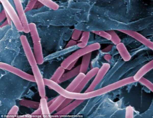 �����о���������ѿ�߸˾��ܹ��Ҵ���ǿ�����������̫�ջ��������ǻ������ڻ��Ǳ�������������