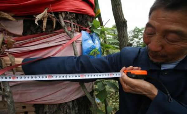 村民依依不舍,拿起尺子再量一量熟悉的“青先生”。