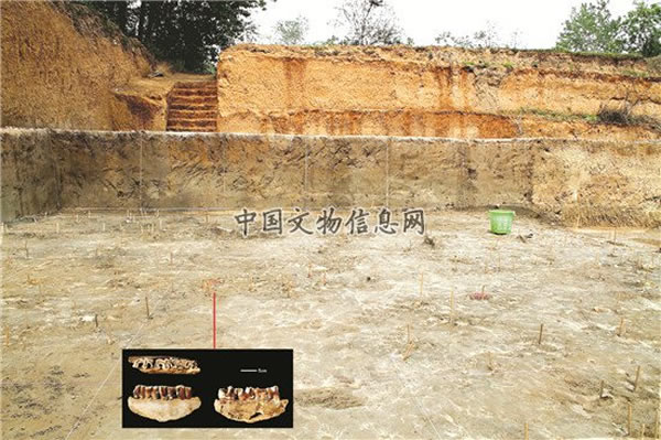 �龮��������ַ���־��10���ꡰ������2��ͷ�ǡ���ʯ