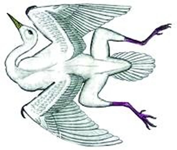 ��������ϵͳ�Ѻ��Ƚ�