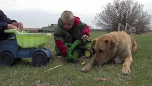 厄尼斯在树林中迷路,宠物犬古柏一直陪伴在他左右,保护他,甚至用身体为他取暖。