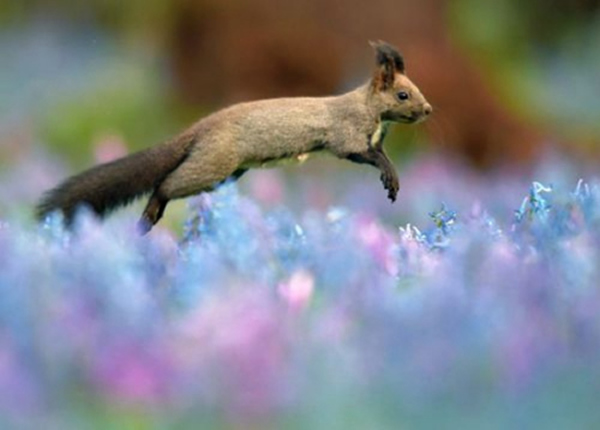 �ձ�������һֻϺ��������ʢ�����Ӻ��������������件����ʳ