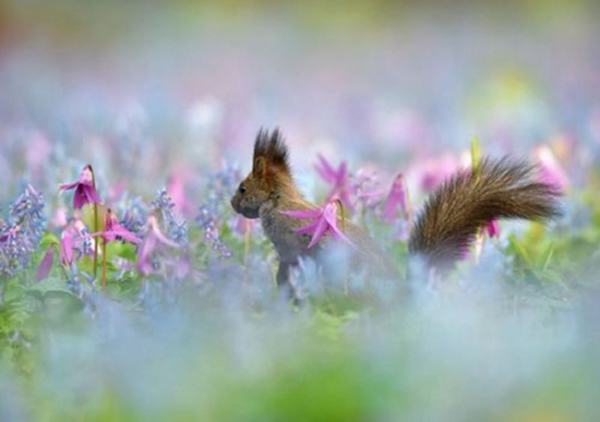 �ձ�������һֻϺ��������ʢ�����Ӻ��������������件����ʳ