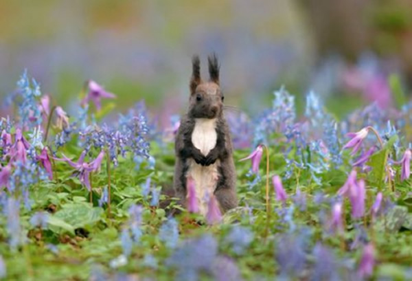 �ձ�������һֻϺ��������ʢ�����Ӻ��������������件����ʳ