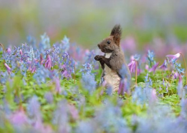 �ձ�������һֻϺ��������ʢ�����Ӻ��������������件����ʳ