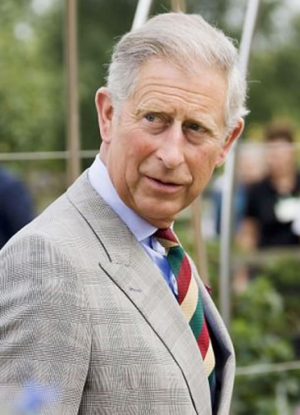 ����ͼ��Ӣ���������˹��