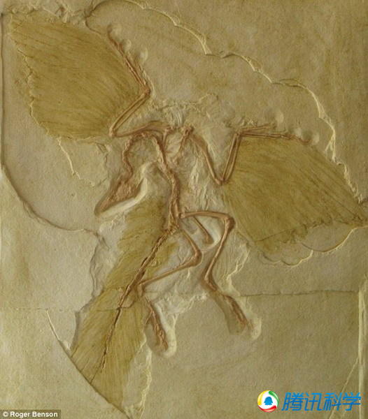 ʼ�����ǵ�������������࣬���ؽ�1���