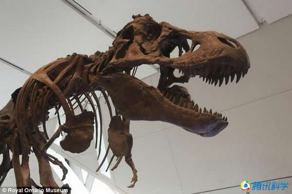 ���������شﵽ7�֣���ʷ������½����ʳ�Զ��