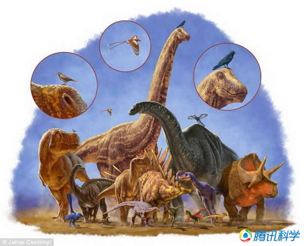 ��1.7�����������ʷ�У��γ��˸������ʹ�С�Ŀ������֣��������ͽ�С�Ŀ������־��г�Ϊ����Ľ���Ǳ�ܡ�