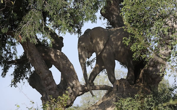 �����ޱ��Ǵ�������ժˮ��