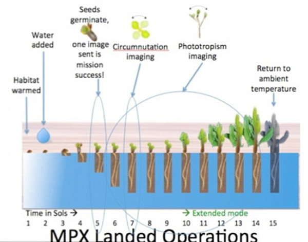 火星植物实验(MPX)流程图