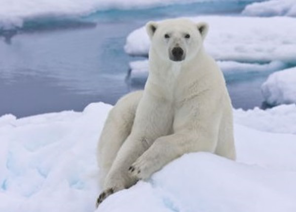 ܵĵ̴ˮƽǳߣȴಡš