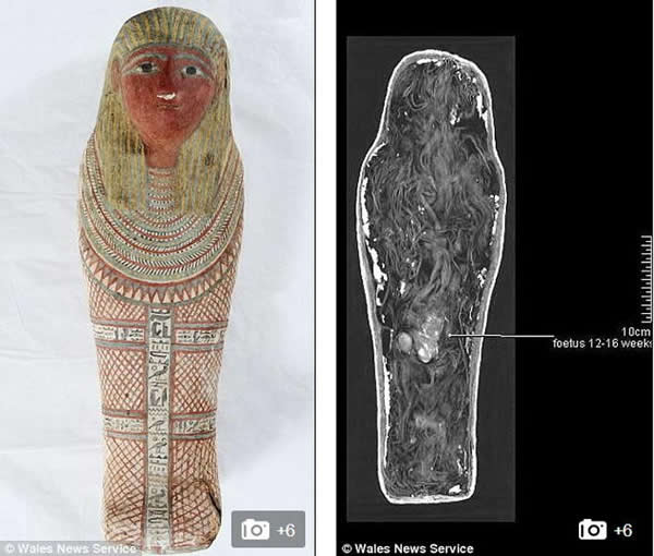 令科学家迷惑40年之久的木乃伊谜团揭晓