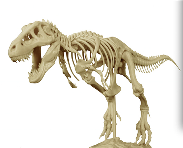 3D打印霸王龙骨架