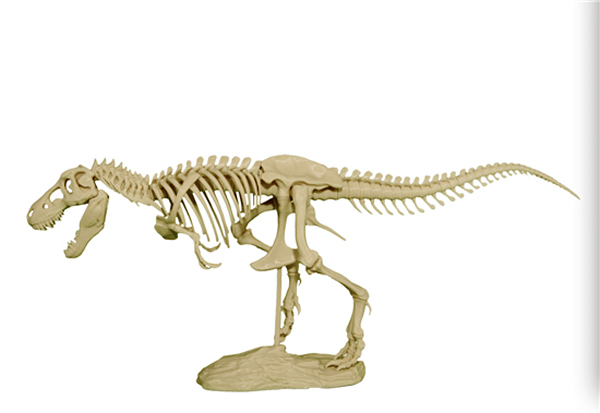 3D打印霸王龙骨架