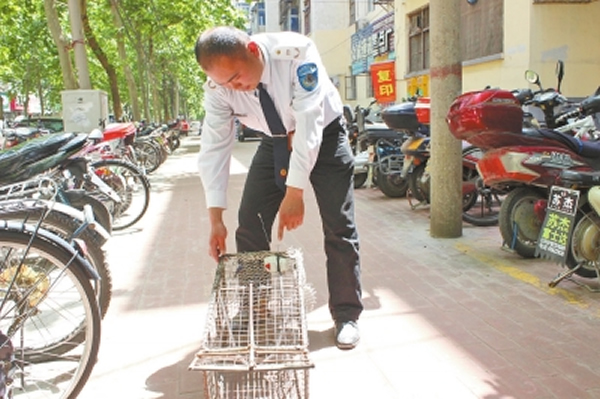 巡防队员在路边发现的捕猫笼。