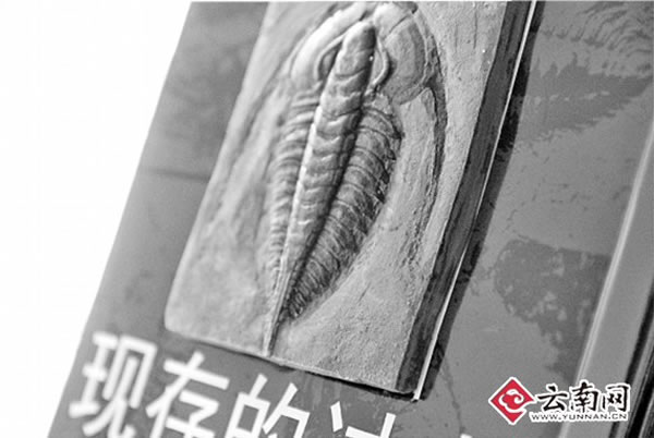 ƴʯߴѧ3ڳʹڵ黯ʯ