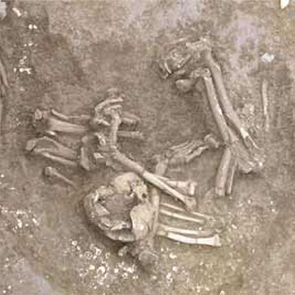 �߽��������ݴ���ʯ��ʱ��������ַ����֫�ᡱ