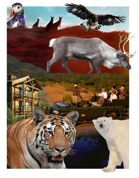 全球冒险之旅大盘点