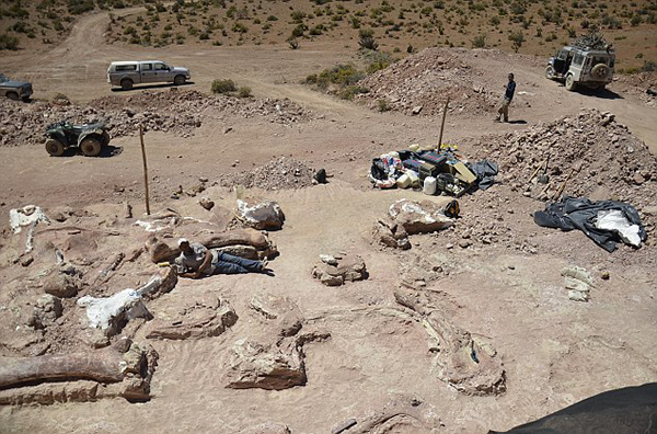 南美发现地球上最大的恐龙 古生物学家认为是雷龙的一种