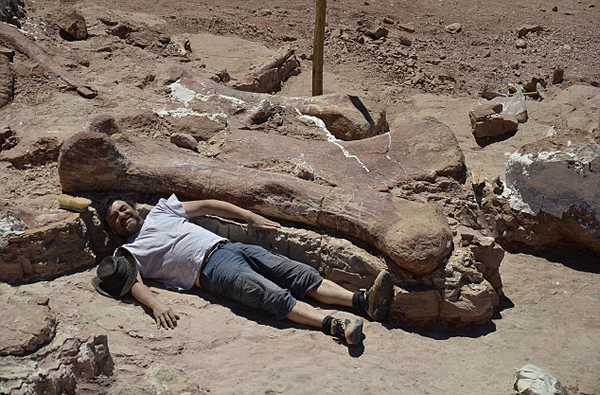 南美发现地球上最大的恐龙 古生物学家认为是雷龙的一种