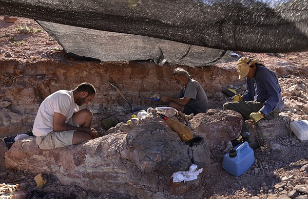 南美发现地球上最大的恐龙 古生物学家认为是雷龙的一种