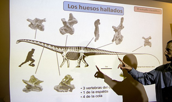 南美发现地球上最大的恐龙 古生物学家认为是雷龙的一种