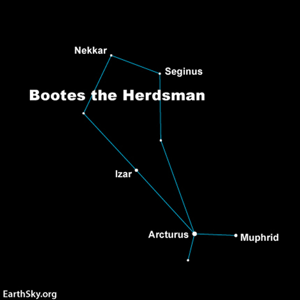 ��������������������ĺ���