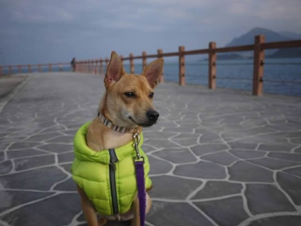 ���ƽУ������ݣ���������Ҫ�����ˣ�