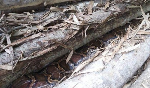 ����կһ�����߾ݴ��ܱ����ơ�����һϵ�����֡�������ȯ�д�