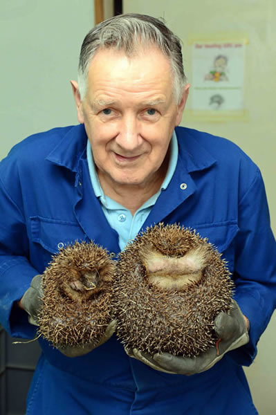 �ո���һֻ��⬴�Ұ���Ⱥ󰮳�����治Ը�ػش���Ȼ