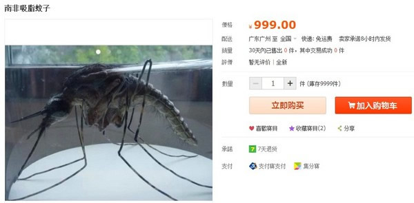 淘宝网出现「南非吸脂蚊子」相关产品,但卖家称只是噱头。