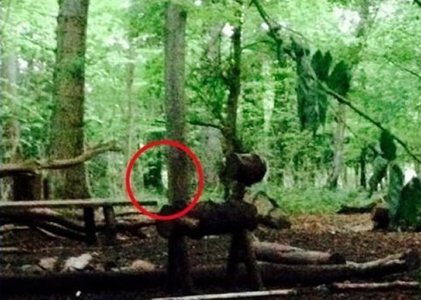 英国2名年轻女子野外露营疑似“撞鬼”