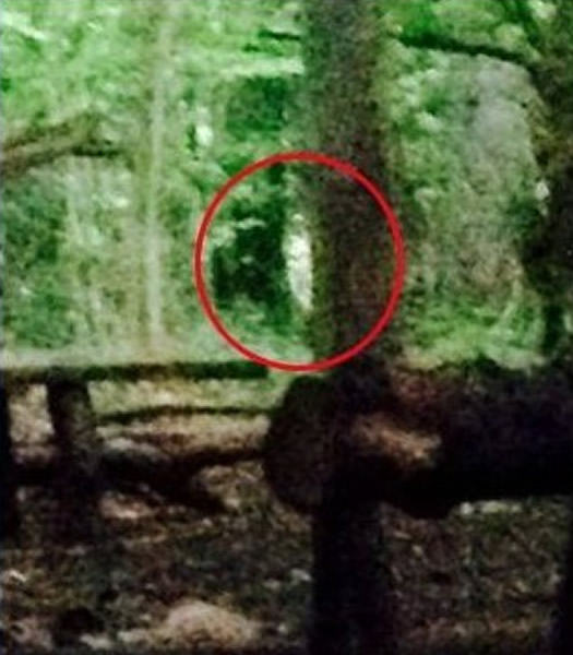 英国2名年轻女子野外露营疑似“撞鬼”