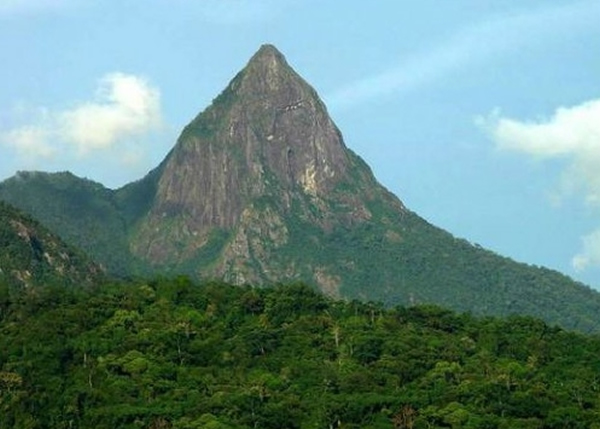 尖峰岭国家森林公园是中国现存整片面积最大的热带雨林
