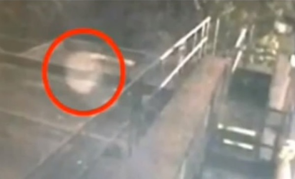 Ӣһʷƾõľư¼㵽Ӱǽ