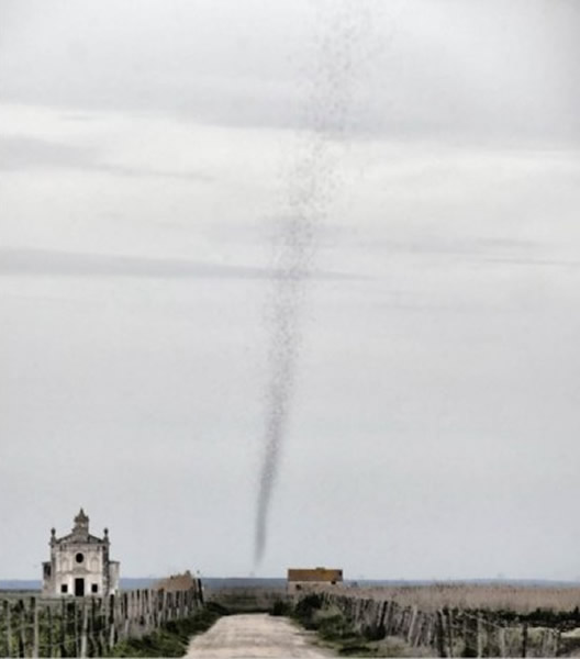 ����������300�׸ߡ��ȳ������硱