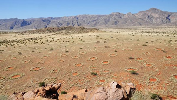 非洲西南部大草原神秘“仙女圈”