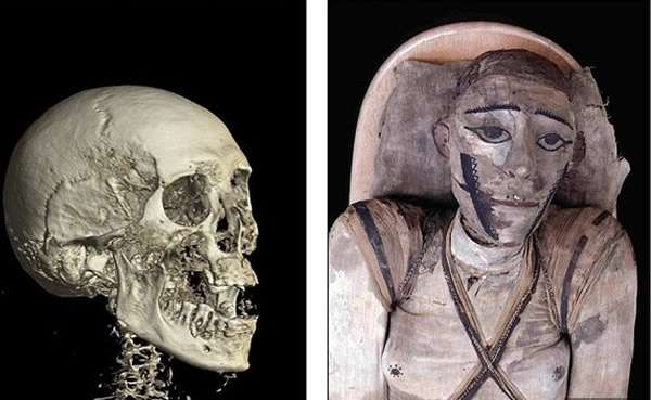 Mutemmenu有着粗粗的黑眼线,还有一对「胸部」,一百多年来一直被研究员当女性看待。